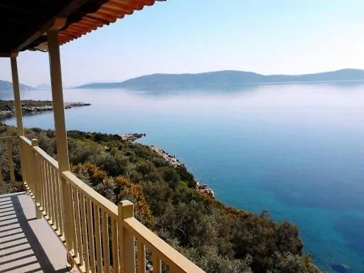Odyssia Near The Seaside
