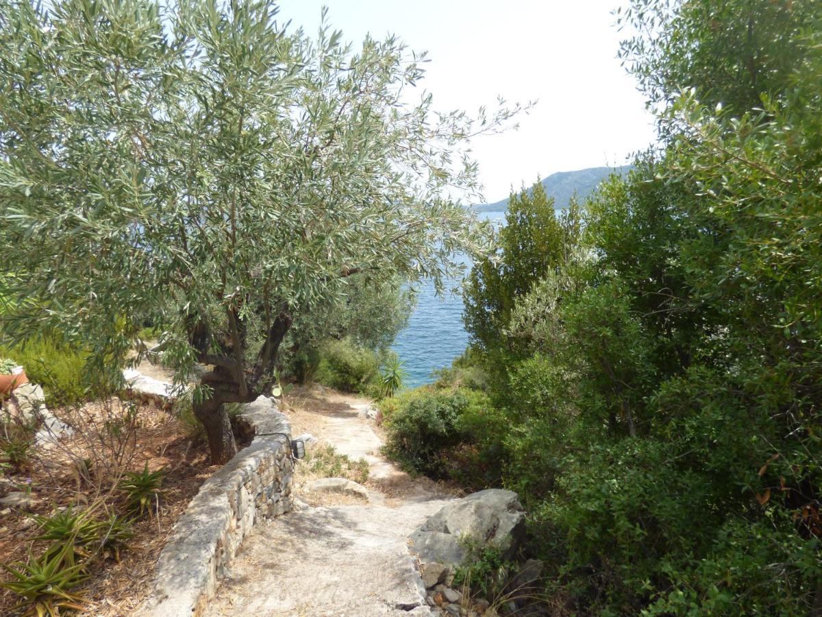 Apartment Odyssia Near The Seaside