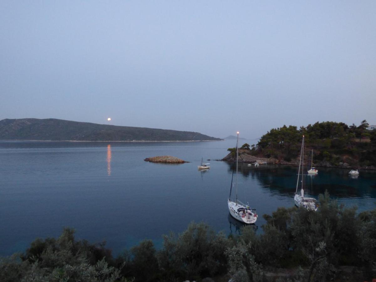 Odyssia Near The Seaside
