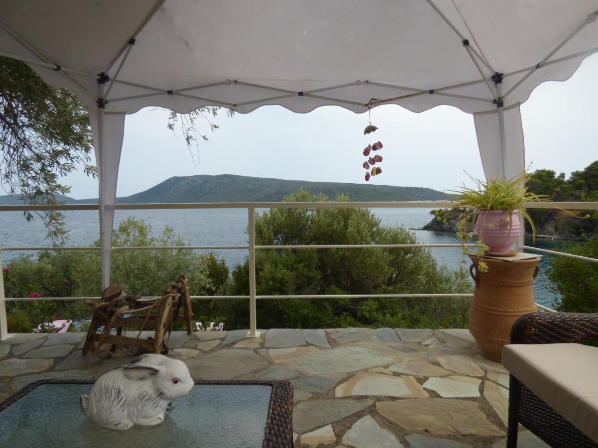 Apartment Odyssia Near The Seaside