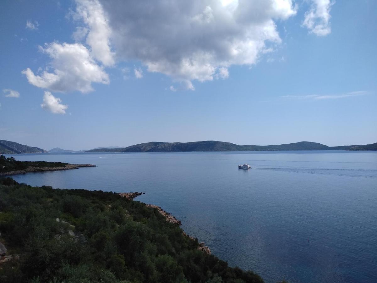 Odyssia Near The Seaside *
