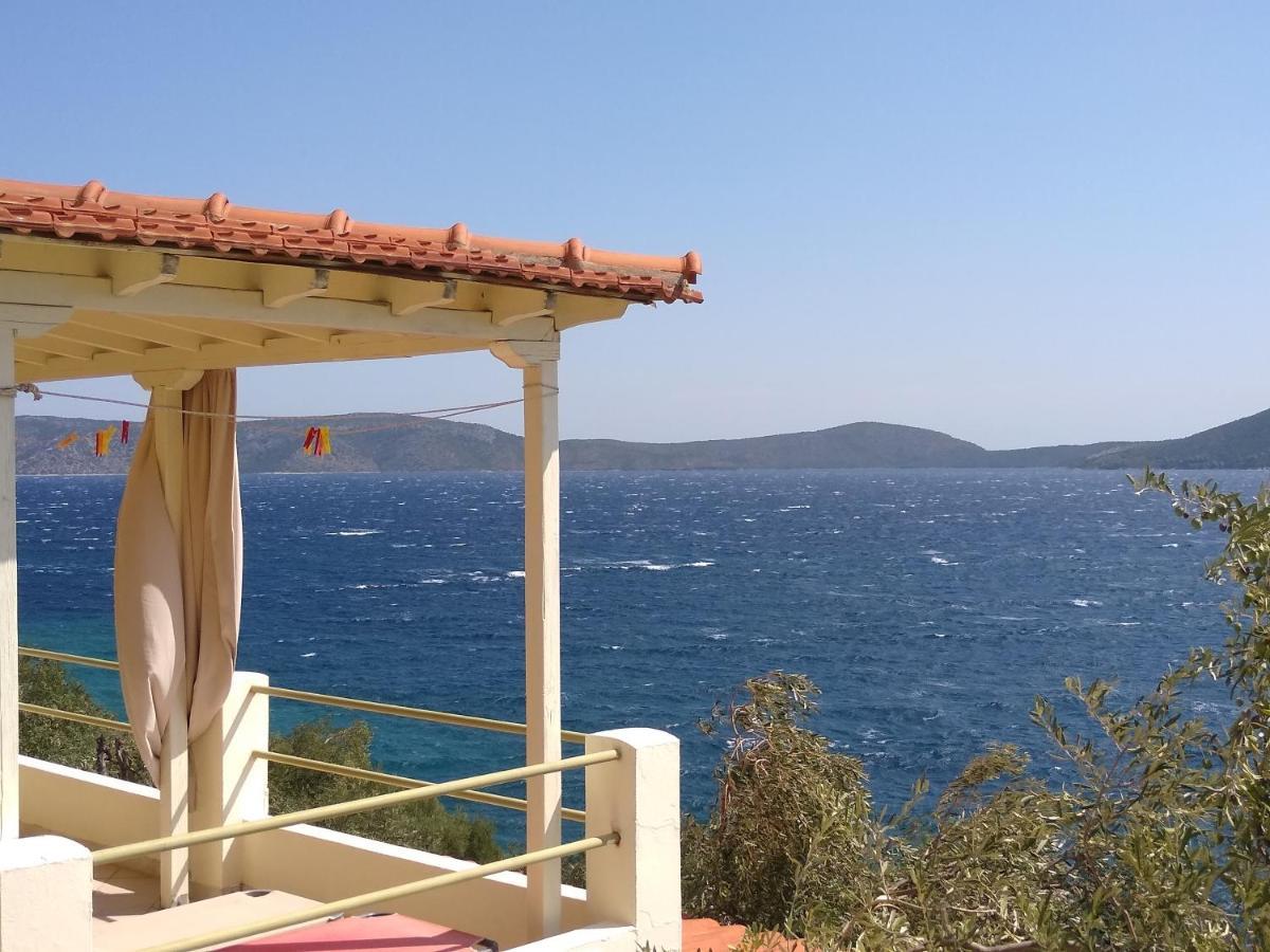 Odyssia Near The Seaside