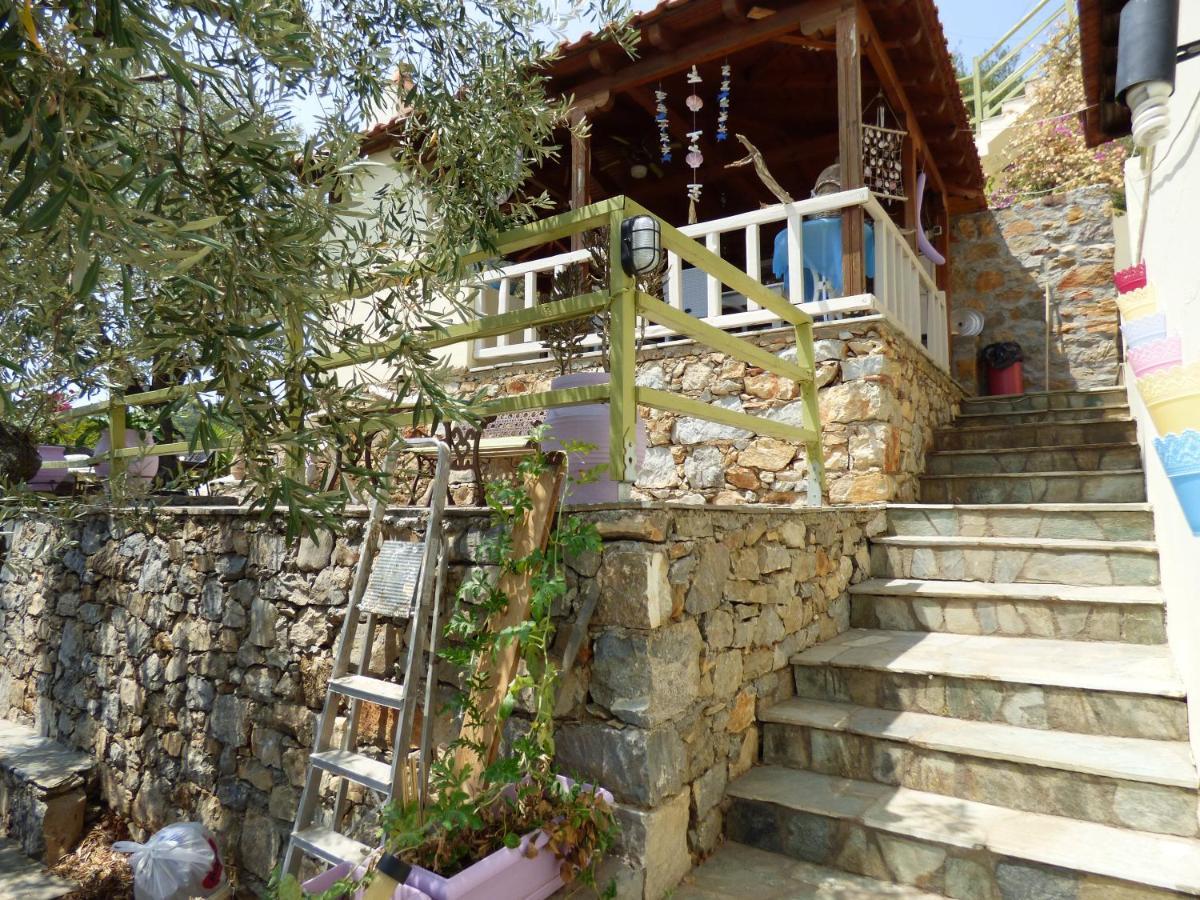 Apartment Odyssia Near The Seaside *