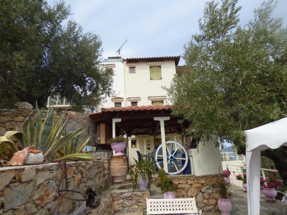 Apartment Odyssia Near The Seaside