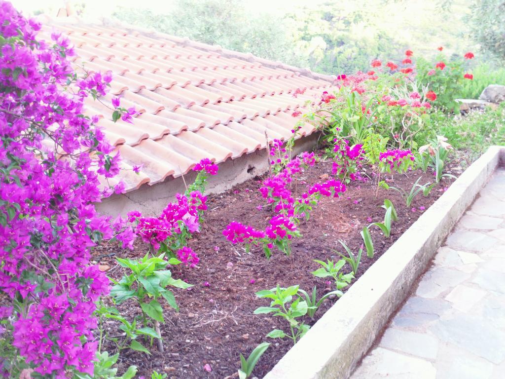Apartment Odyssia Near The Seaside Agios Petros (Alonissos)