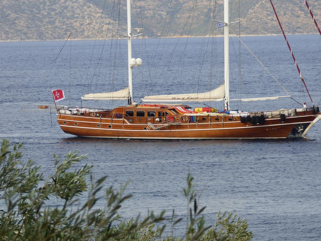 Odyssia Near The Seaside *