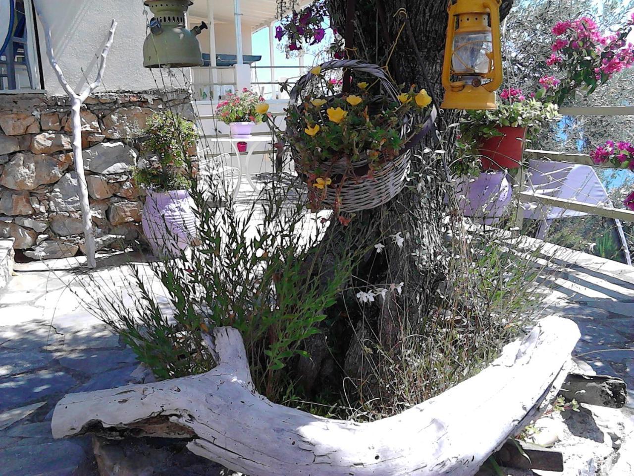 Appartement Odyssia Near The Seaside *