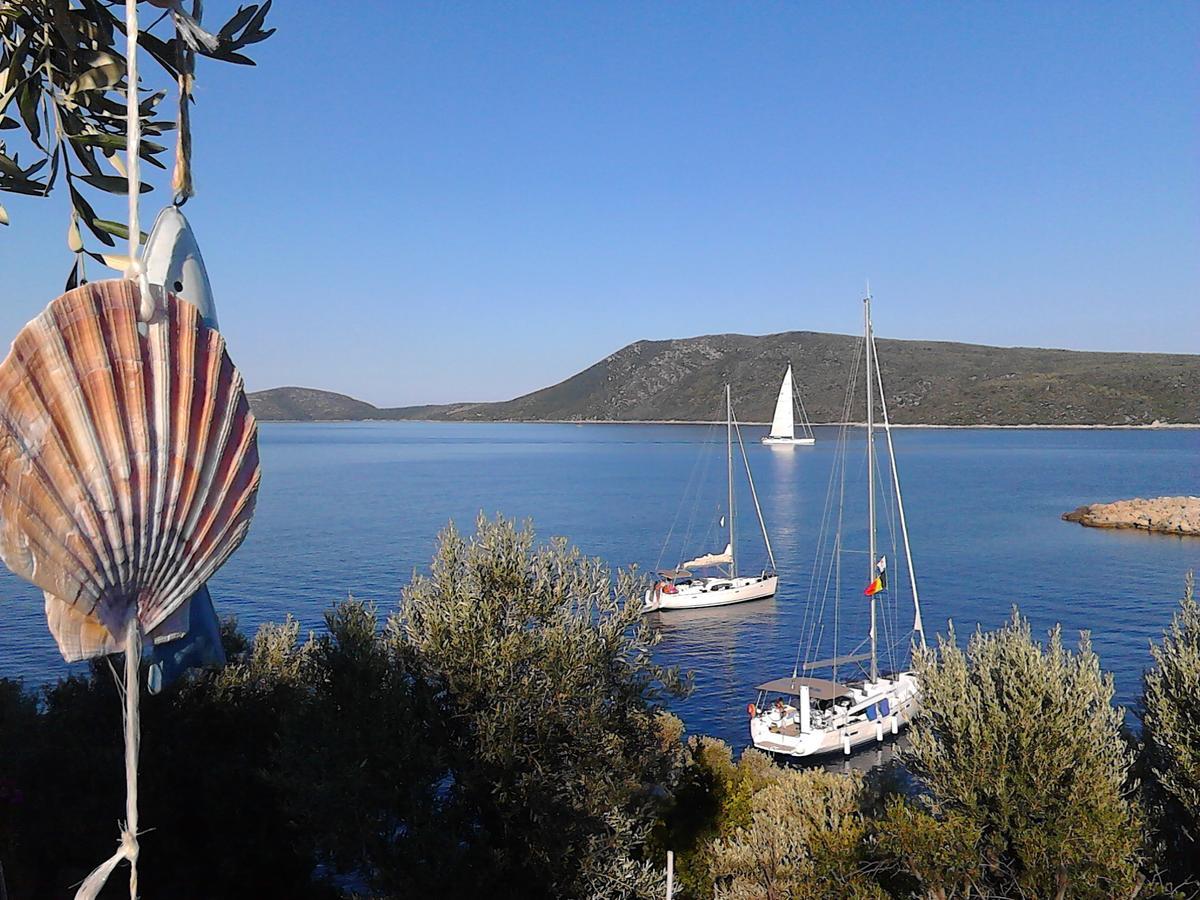 Odyssia Near The Seaside *