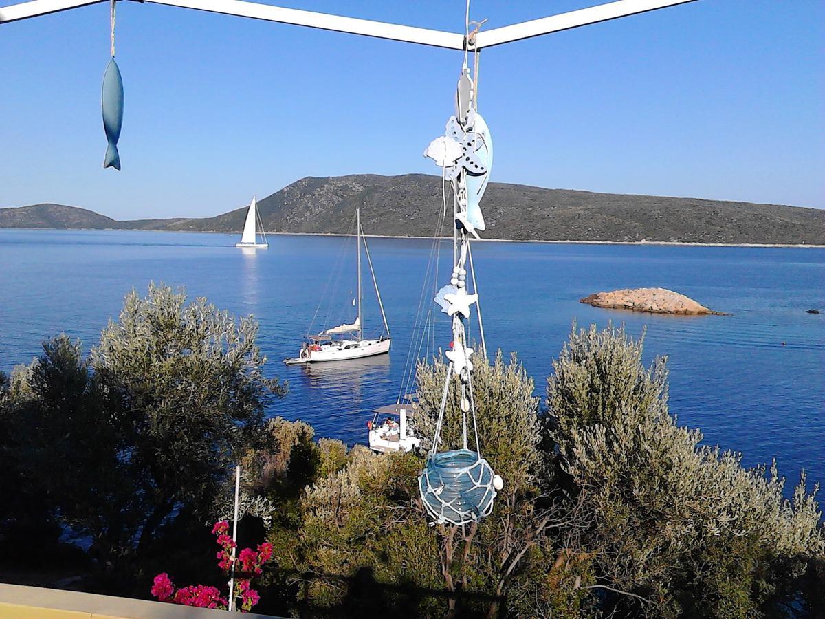Apartment Odyssia Near The Seaside *