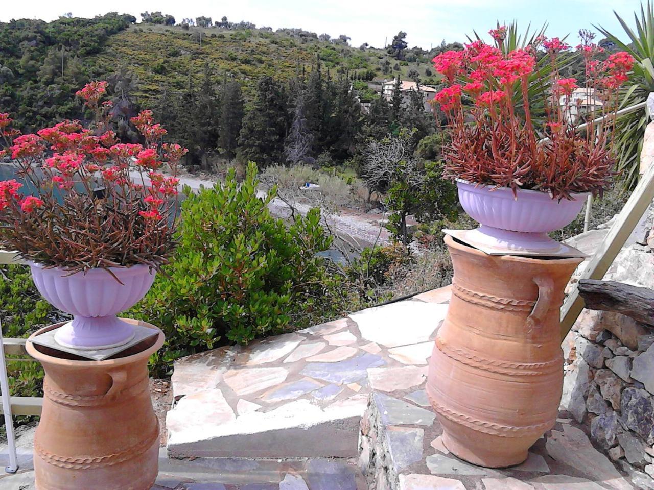 Odyssia Near The Seaside * Agios Petros (Alonissos)