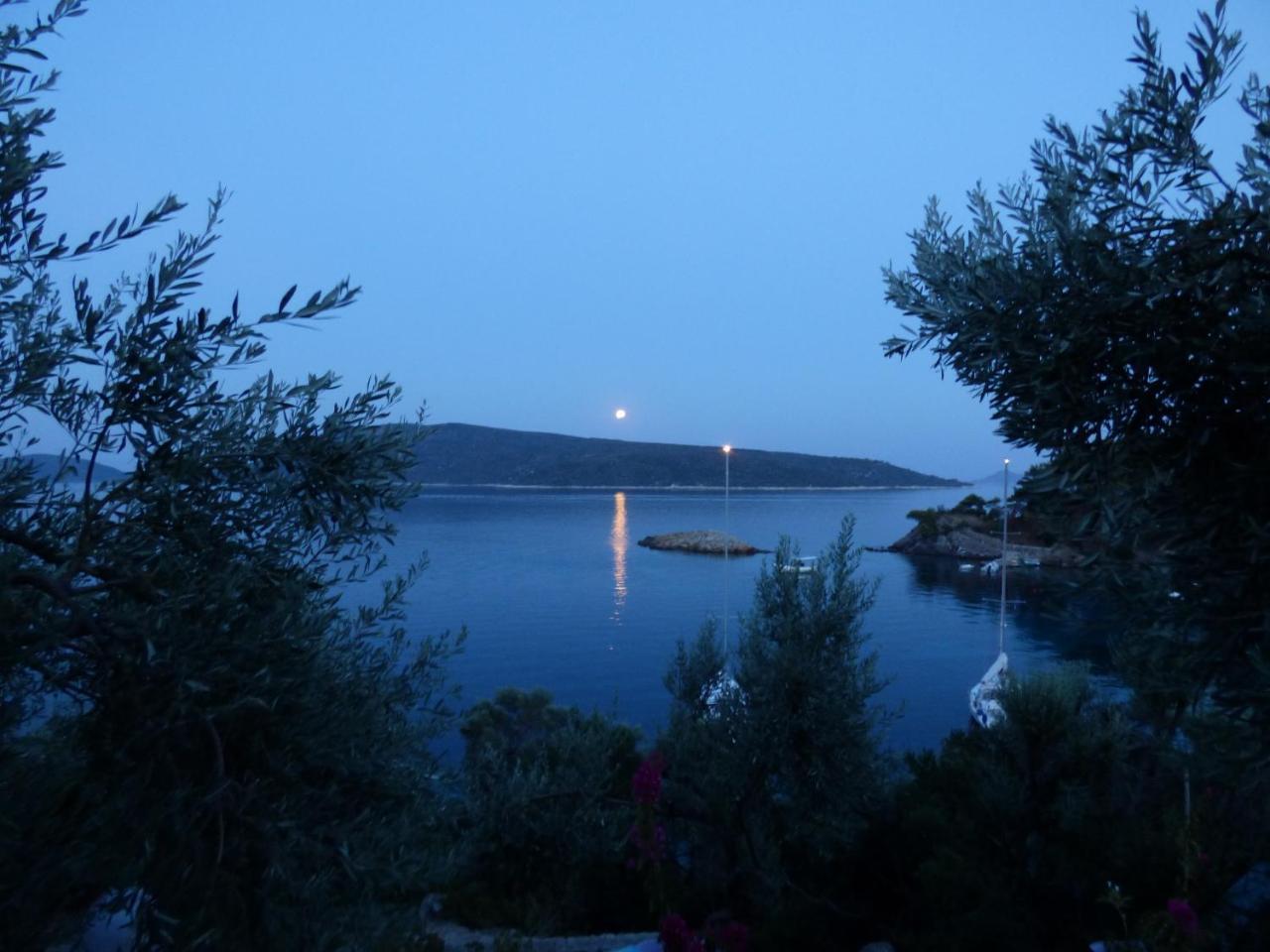 Odyssia Near The Seaside *